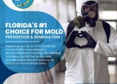 The Top 5 Signs You Need a Mold Inspection in Your Miami Property